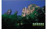 網(wǎng)絡(luò)熱門純玩游：張家界、天子山、袁家界、楊家界 自助三日游
