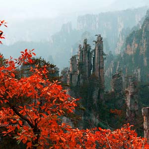 休閑自駕E線：張家界、袁家界、天子山、寶峰湖、鳳凰古城、沱江泛舟四晚五日游