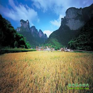 張家界往返純玩散拼：矮寨大橋、德夯苗寨、鳳凰古城、芙蓉鎮(zhèn)二日游